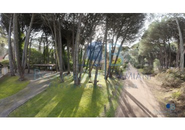 3015- Lote Urraca